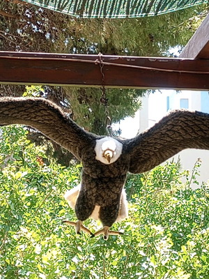 Hansa giant stuffed eagle like new, 1.5 m length