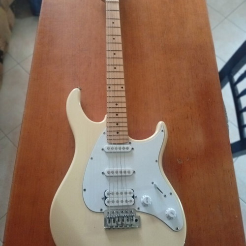 Electric guitar for beginners