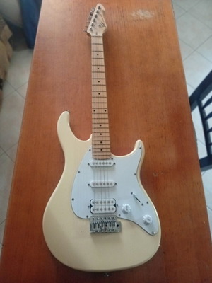 Electric guitar for beginners