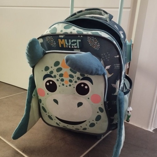 Toddler trolley bag used with minor side wear