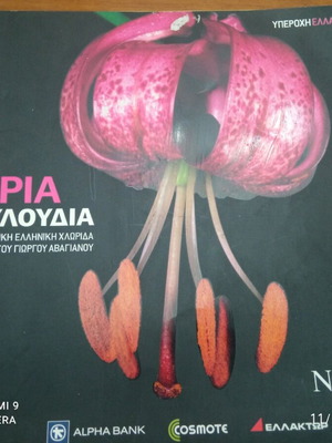 Books Yperocha Ellada 7, like new