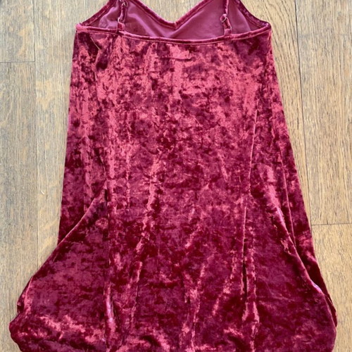 Velvet mini dress Minkpink used, size Small, Cherry Blossom model
