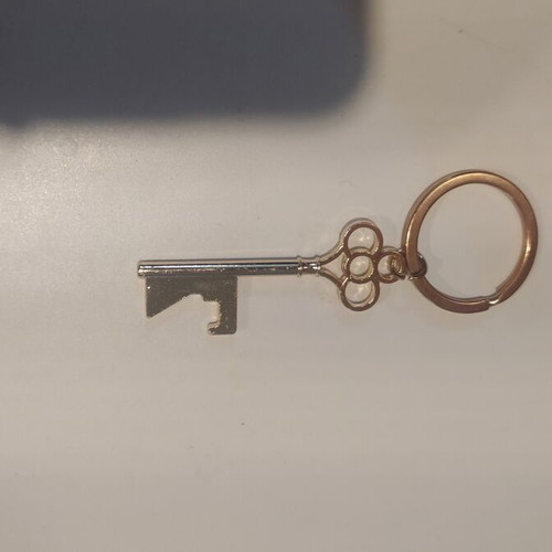 Keychain gold color with key design new