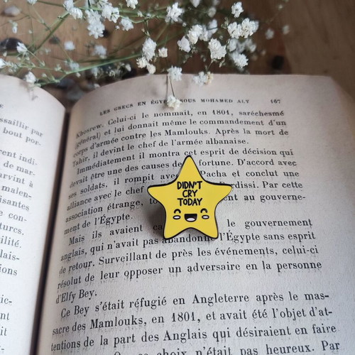 Funny Star pin new