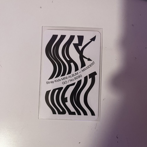 Stray Kids Lee Know Maxident photocard GO Ver.