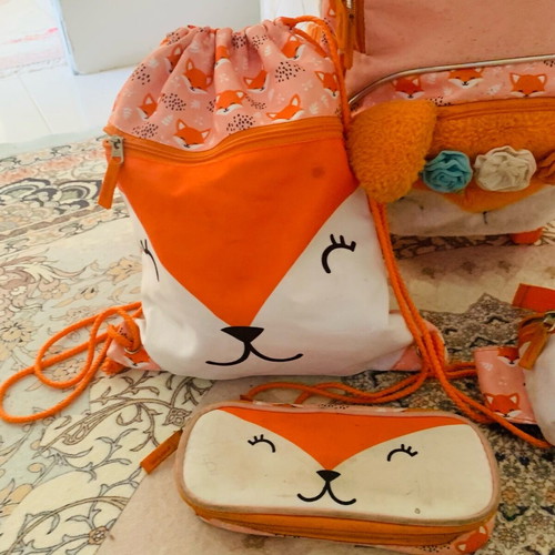 Primary school trolley bag set used with two pencil cases and small bags
