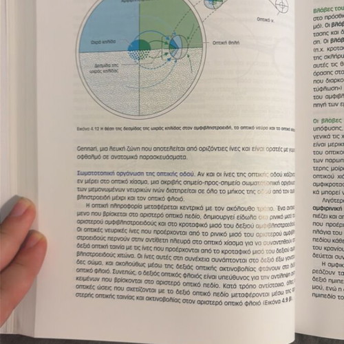 Duus’ Diagnostic Localization in Neurology book new