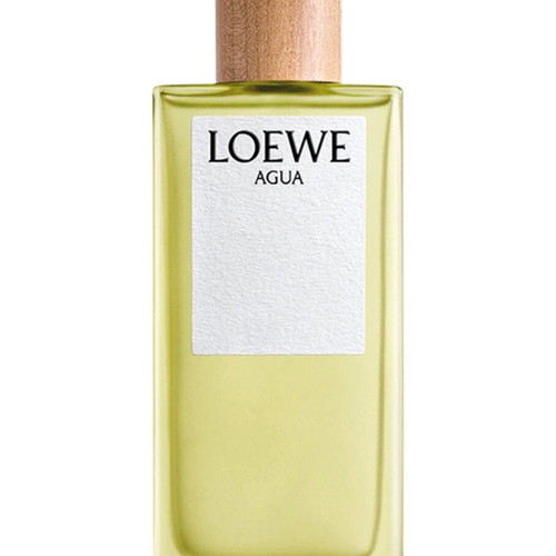 Loewe Agua Eau de Toilette Tester 100ml new, authentic