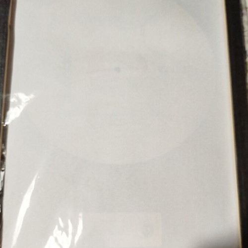 Canvas Gold Disc Voyager I new, printed on wooden frame 40x30 cm