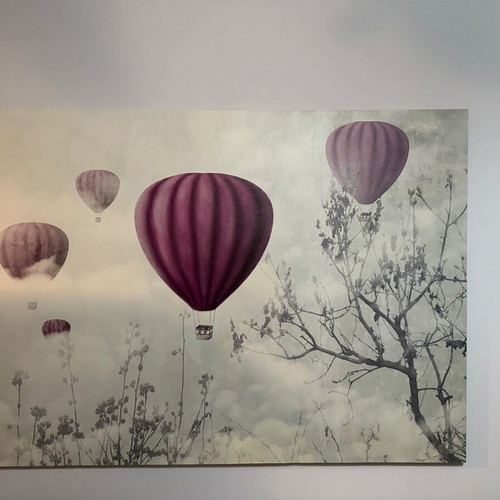 Hot Air Balloon Wall Art like new