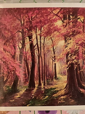 Vintage λιθογραφία Edith Monti 1973 "Luci nel Bosco" μεταχειρισμένο έργο τέχνης