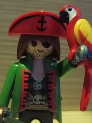 Playmobil - Πειρατές