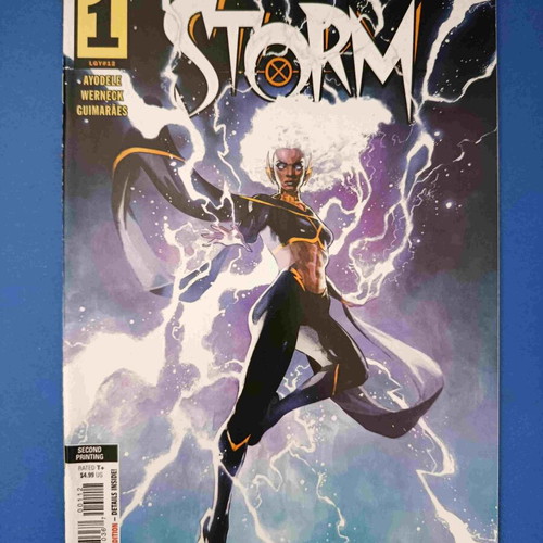Storm Vol 4 1 C Variant Cover comic used