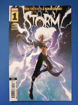 Storm Vol 4 1 C Variant Cover comic used