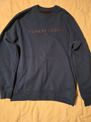 Funky Buddha men's sweatshirt blue like new size L