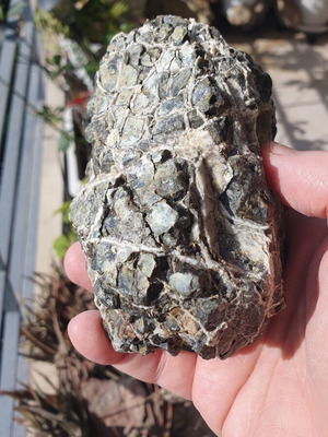Serpentinite rock with green and blue veins from Evia, new