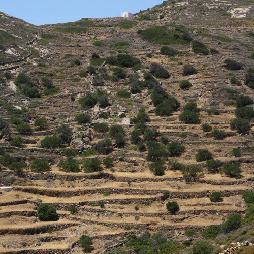 Agricultural land 2,370 m² with 21 olive trees, out of plan, mountain view in Elaionas