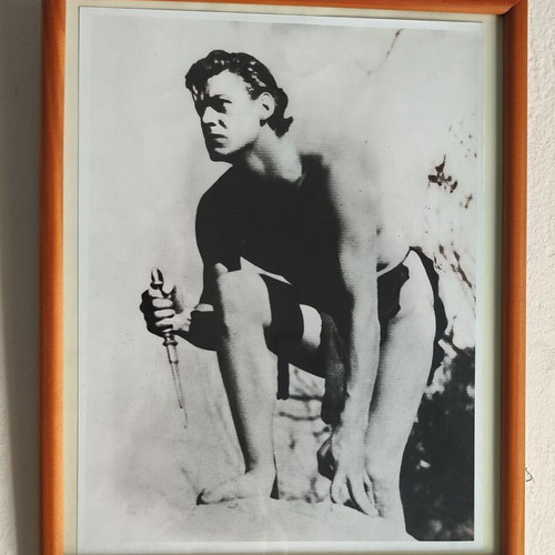Vintage Tarzan (Johnny Weissmuller) photographic frame, 1980s