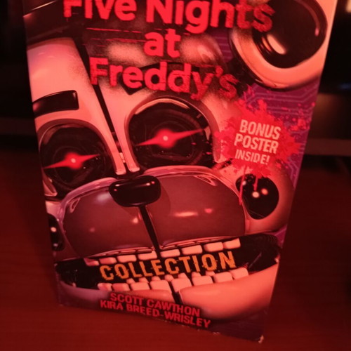Fnaf Collection books like new with poster in English
