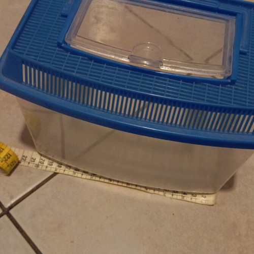Mini Aquarium like new, 20x12 cm with removable lid and handle