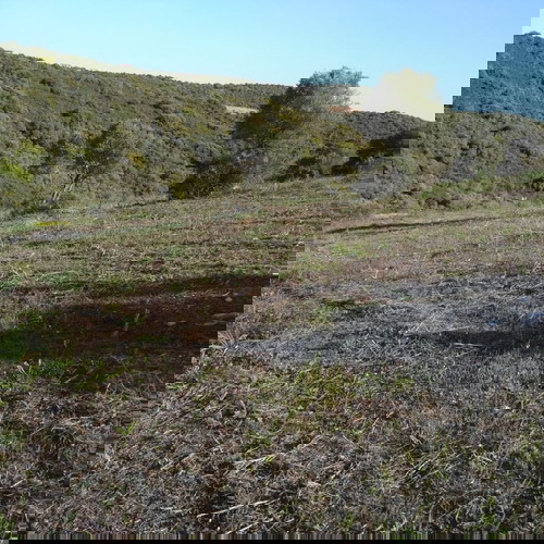 Αγροτεμάχιο 4483,5 τ.μ. οικοδομήσιμο στην Αμμουλιανή Χαλκιδικής