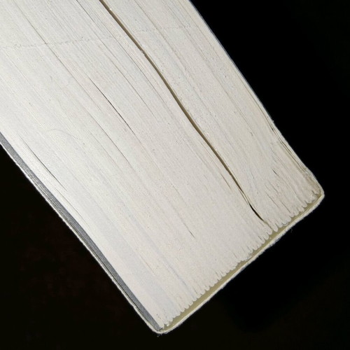 Liakopoulos The Protocols of the New Order 2 book new
