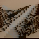  2D ART FOX