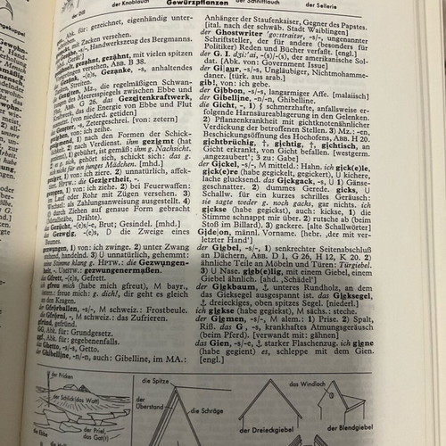 German dictionary like new Deutsches Bild Wörterbuch von A-Z