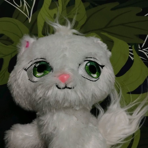 Shimmer Stars Jelly Bean plush cat used