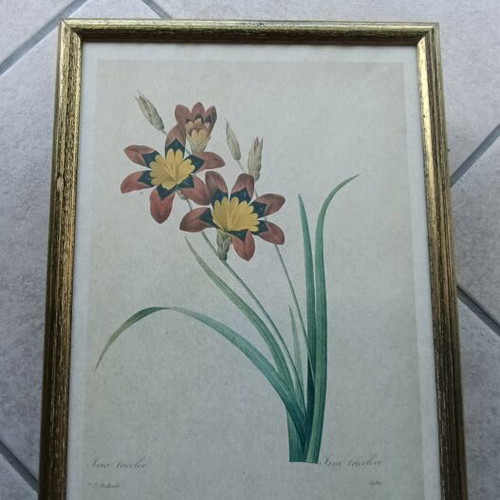 Flower frames set of 8, like new, 24x31.5 cm