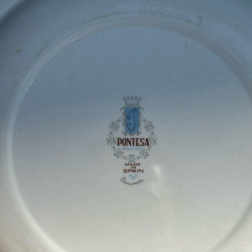 Pontesa Ironstone Collectible Plate used with Retro Floral Design
