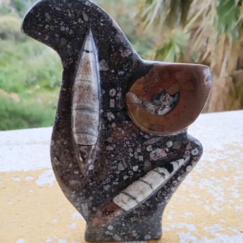 Stone sculpture with orthoceras and ammonite new