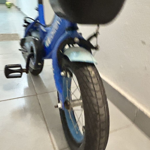 Orient Terry 12” blue children's bike