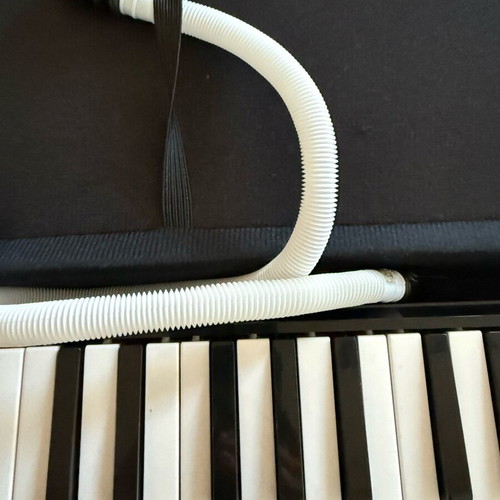 Walther Melodica used with case