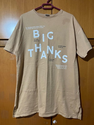 Zara oversized T-shirt 11-12 years like new, beige with print
