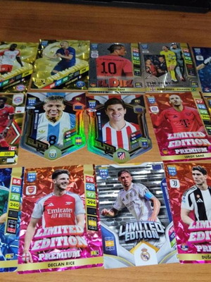 Συλλεκτικές κάρτες FIFA 365 Panini Adrenalyn XL, πακέτο 13
