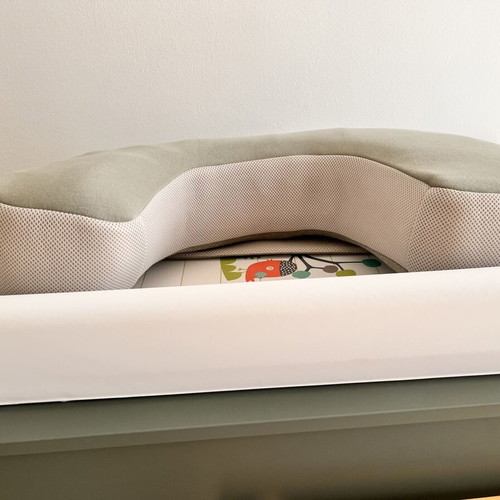 Inglesina Elysia Nursing Pillow green like new