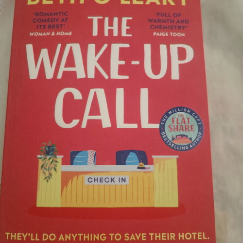 The Wake-Up Call book by Beth O'Leary