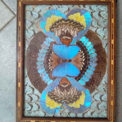 Collectible handmade serving tray used with butterfly feather collage