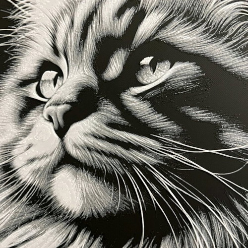 3D Cat Portrait Decorative Painting new