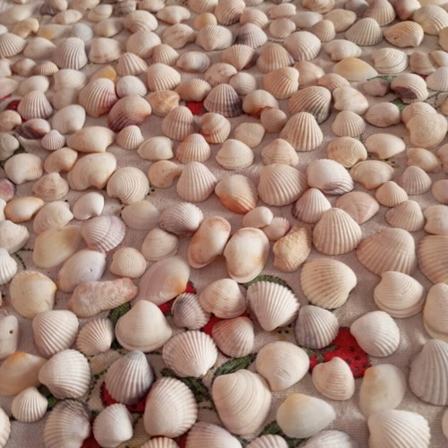 Sea decorative elements like new for crafts and home decoration