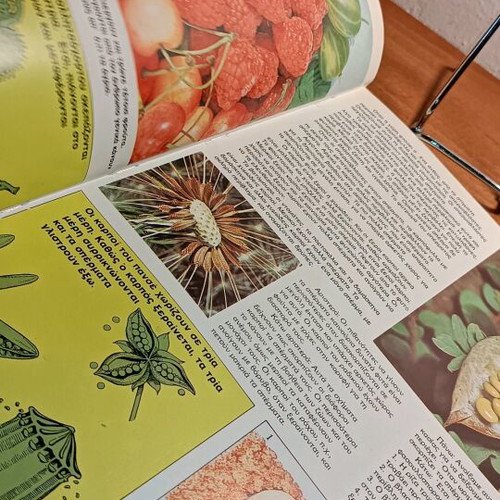 Plants used color thematic encyclopedia “Our World”