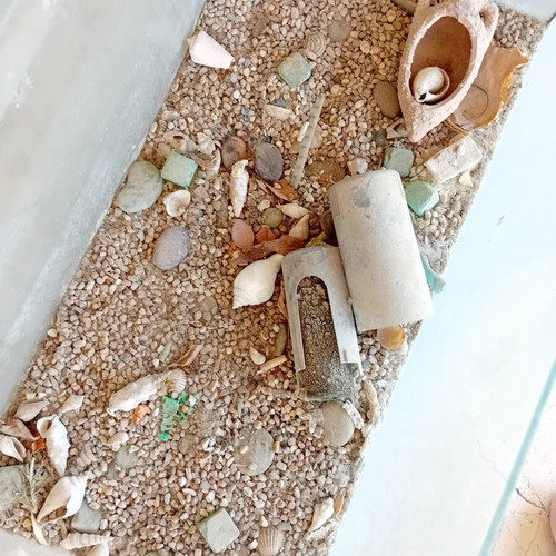 Fish tank without lid, used, about 1 year