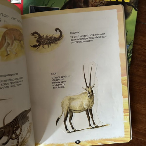 Children's books about animals, set of 2