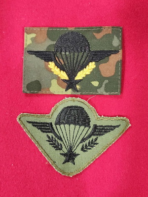 French paratrooper patches used for camouflage and dark green uniforms