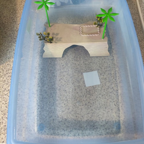 Georplast reptile aquarium 54x40x14cm with turtle habitat
