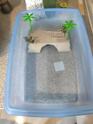 Georplast reptile aquarium 54x40x14cm with turtle habitat