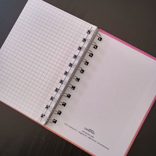 Spiral notebooks like new, pack of 2, pages with boxes