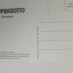 Pokemon Pidgeotto and Taz cards used, pack of 2