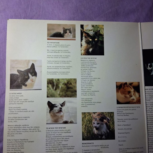 Vinyl To Vivlio Ton Gaton like new, entechno